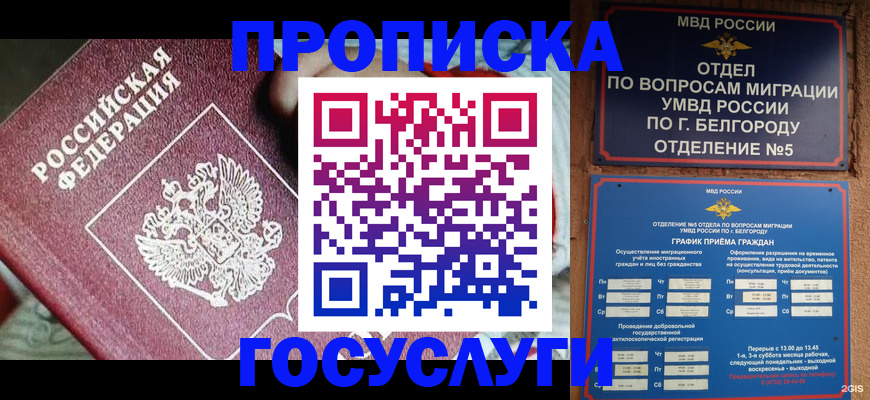 прописка гарантия в Липецке